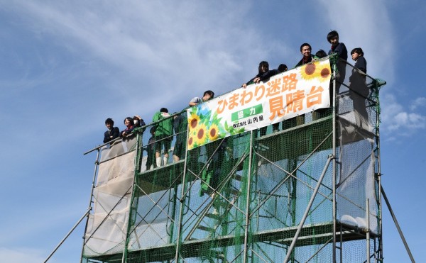 地域貢献活動／更別農業高校のひまわり迷路に見晴らし台を設置